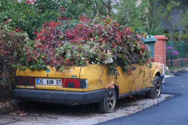 İzmir'de Sahipsiz Kalan Otomobil Yeşille Kaplandı