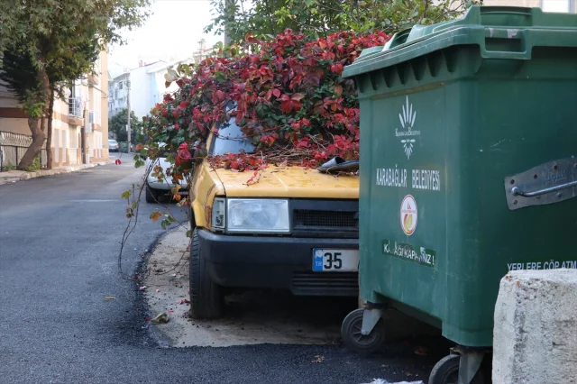 İzmir'de Sahipsiz Kalan Otomobil Yeşille Kaplandı