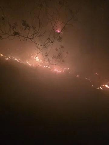 Hatay'da Orman Yangını! Ekipler Seferber Oldu
