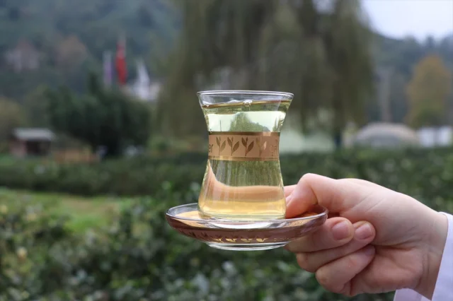 Rize'den Dünyaya Lezzet Yolculuğu Çiçek Çayı Rüzgarı
