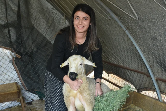 Hayvancılıkla Kendi İmparatorluğunu Kuruyor: Cangül Şenoğlu'nun Başarı Hikayesi