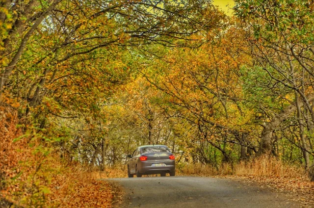 Bitlis'teki Hizan ormanlarının sonbahar büyüsü