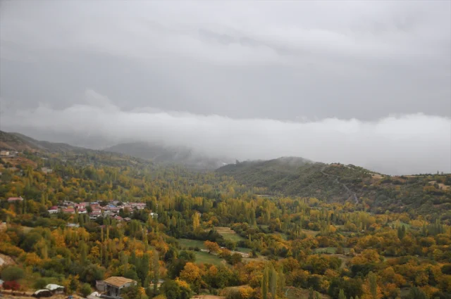 Bitlis'teki Hizan ormanlarının sonbahar büyüsü