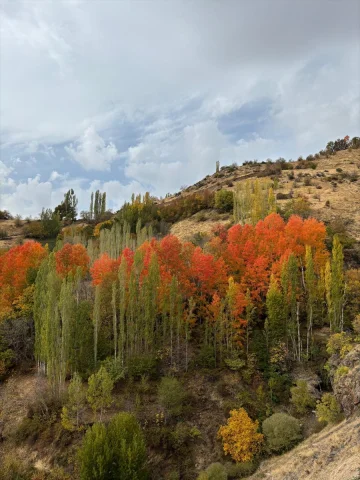 Bitlis'teki Hizan ormanlarının sonbahar büyüsü