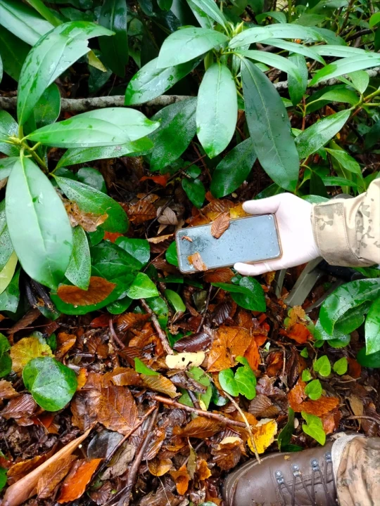 Kastamonu'daki trajedide yeni bulgu: Kayıp cep telefonu ormanda bulundu