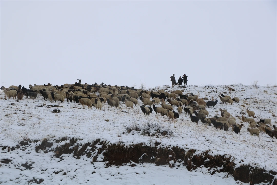 Hakkari'yi Beyaza Bürüyen Kar Yağışı Şaşırttı