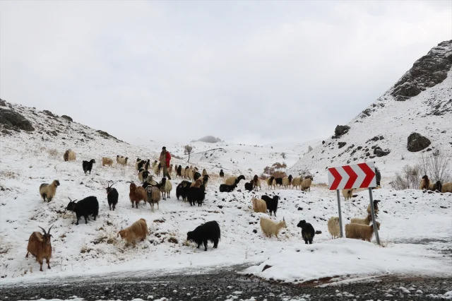 Hakkari'yi Beyaza Bürüyen Kar Yağışı Şaşırttı