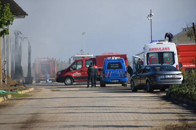 Manisa'da Sera Yangını Paniği: Çiçekler ve Ağaçlar Zarar Gördü