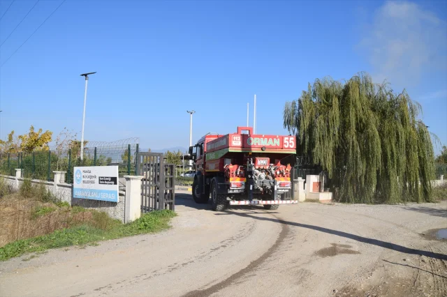 Manisa'da Sera Yangını Paniği: Çiçekler ve Ağaçlar Zarar Gördü