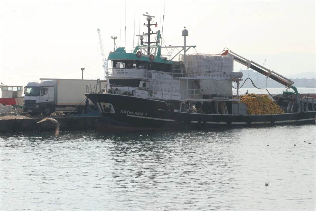 Marmara Denizi'nde Balıkçıları Sevindiren Bereket