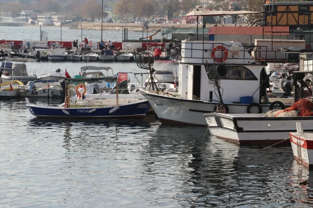 Marmara Denizi'nde Balıkçıları Sevindiren Bereket