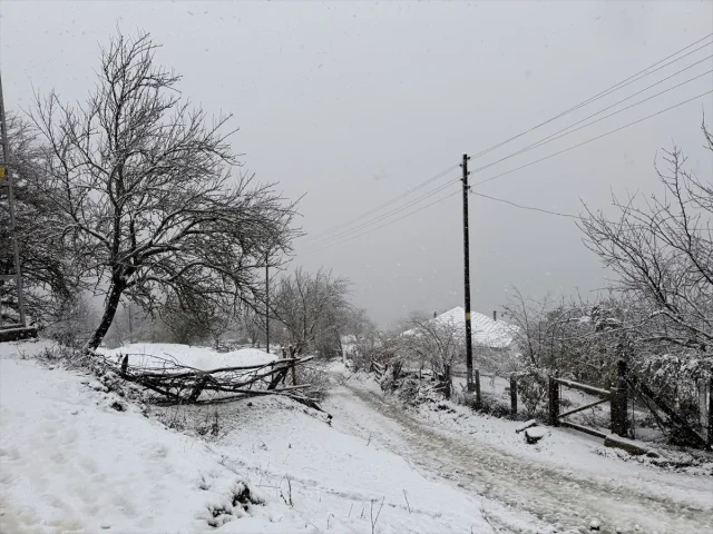 Samsun Kızlan Yaylası'nda Kar Manzarası Büyülüyor