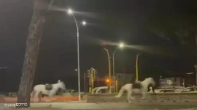 İtalya'da resmi törene katılacak süvari birliğinin atları kaçtı