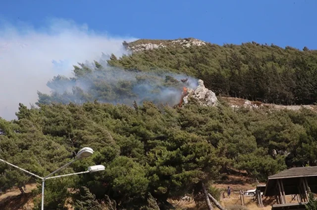 Orman Yangınlarıyla Mücadelede Bursa'dan Canlı Gelişmeler