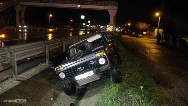 Edirne'de trafik kazası sonrası "Zoiy" isimli kedi kayboldu