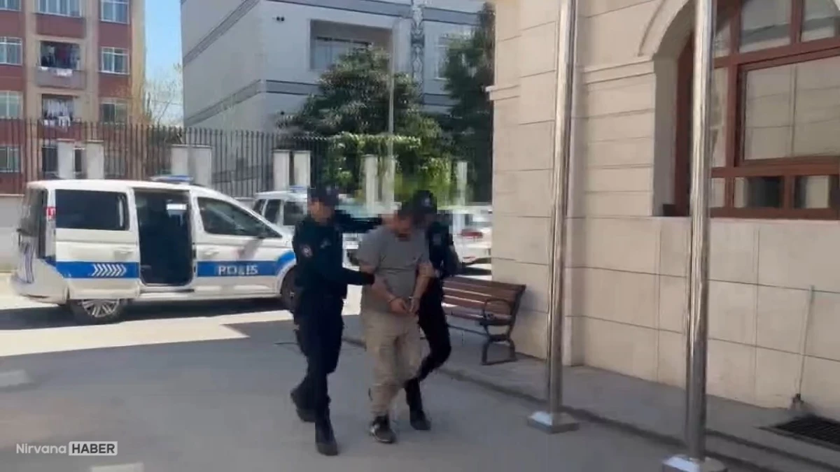Avcılar’da köpeğine şiddet uygulayan kişi yakalandı