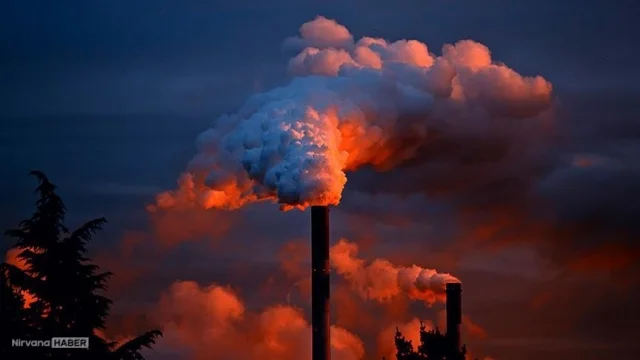 Fosil yakıt şirketleri plastik kirliliğini nasıl gizliyor?