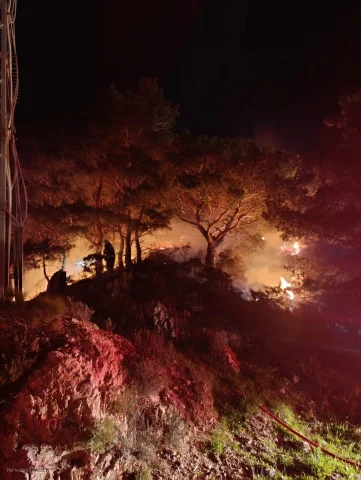 Bodrum’da orman yangını kontrol altına alındı: 2 dönümlük alan zarar gördü