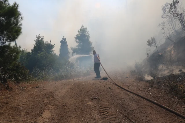 Antalya'da Orman Yangınları Mücadelesi Devam Ediyor