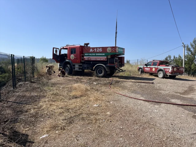 Antalya'da Orman Yangınları Mücadelesi Devam Ediyor