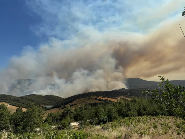 Sakarya'daki Orman Yangınına İleri Düzey Müdahale