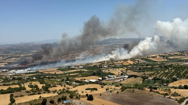 Balıkesir'de Tarım Arazisi Yangını Başarıyla Kontrol Altına...