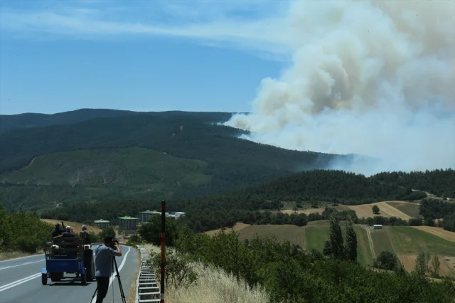 Sakarya ve Bilecik'teki Orman Yangını için Hava Destekli Müdahale
