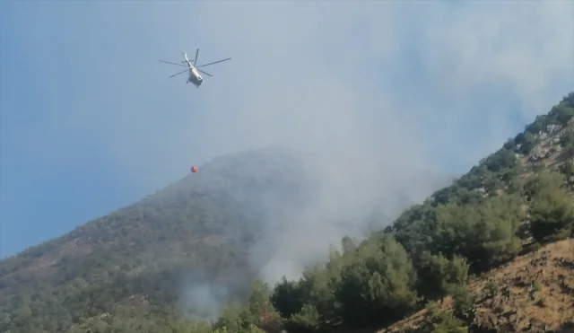 Türkoğlu'nda Orman Yangını Nihayet Söndürüldü
