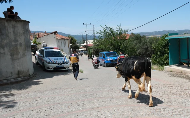 Manisa'daki Orman Yangınında Tutuklanan Arıcı Hakkında Detaylar Ortaya Çıktı