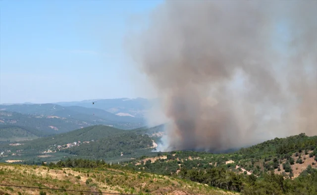 Manisa'da Devam Eden Orman Yangınına Karşı Kapsamlı Müdahale