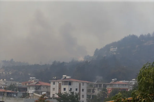Hatay Orman Yangını: Karaali'de Ekipler Seferber Oldu