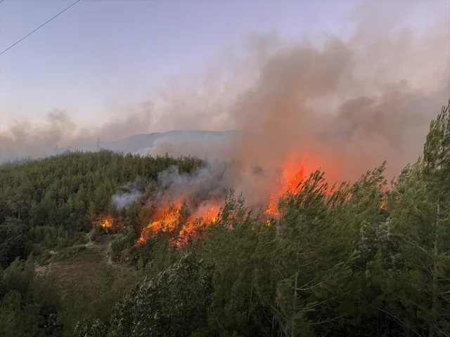 Adana'da Orman Yangını Tehlikesi Kontrol Altına Alındı