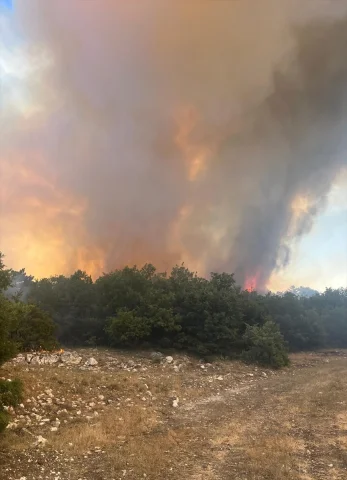 Eskişehir'deki Orman Yangını Ekiplerin Yoğun Çabalarıyla Sön...