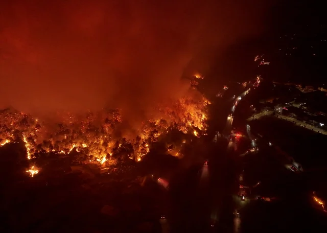 İzmir Buca'da Orman Yangınına Neden Olan Failler Yargı Önünde