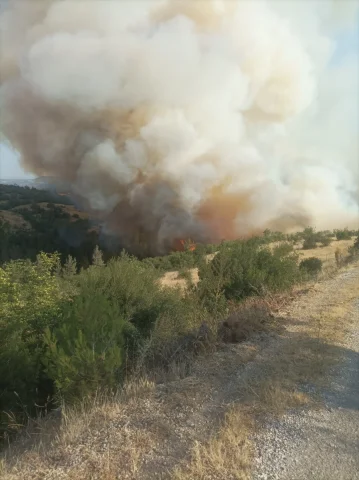 Bursa-Balıkesir Sınırındaki Orman Yangını Tamamen Söndürüldü