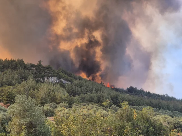 Manisa'da Orman Yangınlarıyla Mücadele Sürüyor