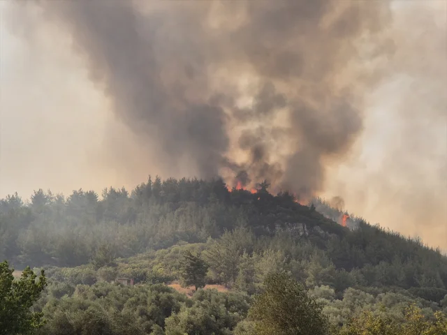 Manisa'da Orman Yangınlarıyla Mücadele Sürüyor
