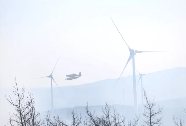 Çanakkale'deki Orman Yangını Büyük Çabalarla Kontrol Altına...