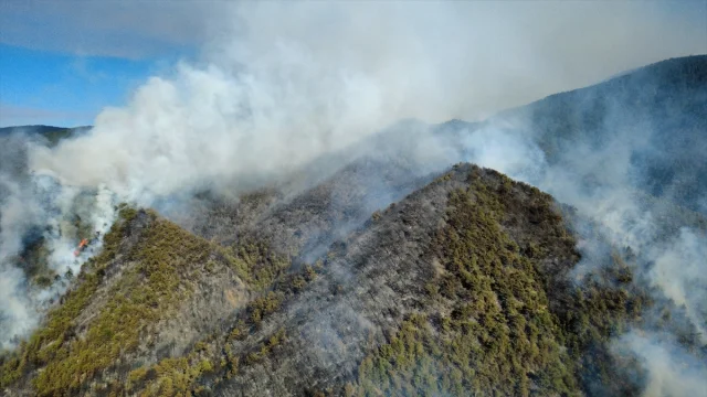 Karabük'te Orman Yangınıyla Mücadelede Seferberlik