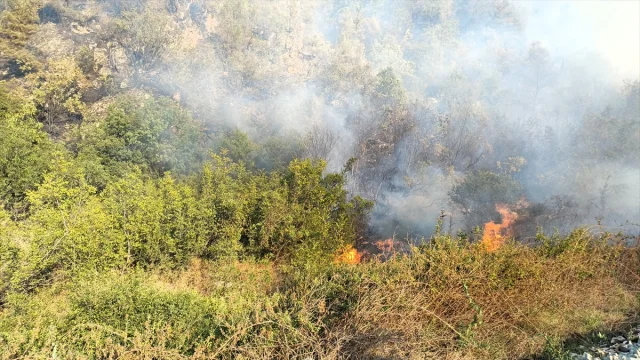 Karabük'te Orman Yangınıyla Mücadelede Seferberlik