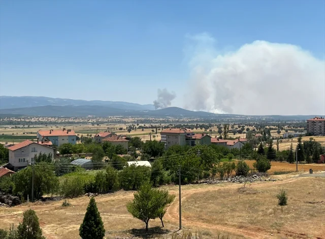Uşak Sivaslı'da Meşelik Arazide Çıkan Yangınla Mücadele Sürü...