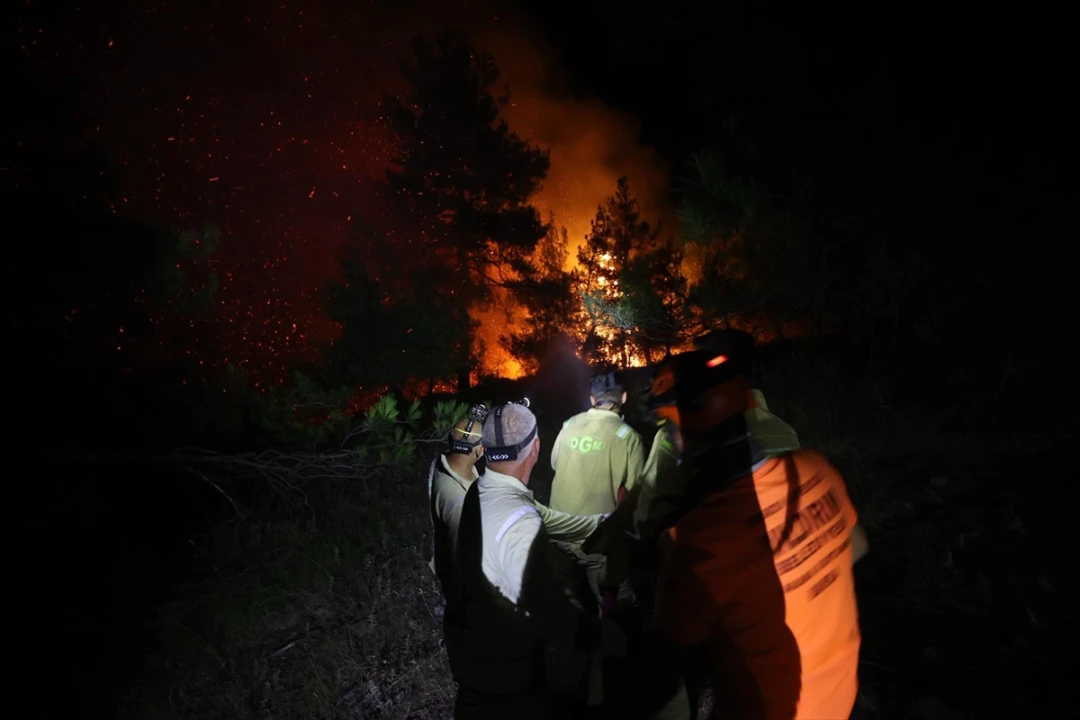 Bursa’da Muazzam Orman Yangını: Gürsu ve Kestel Arasında Müdahaleler Sürüyor