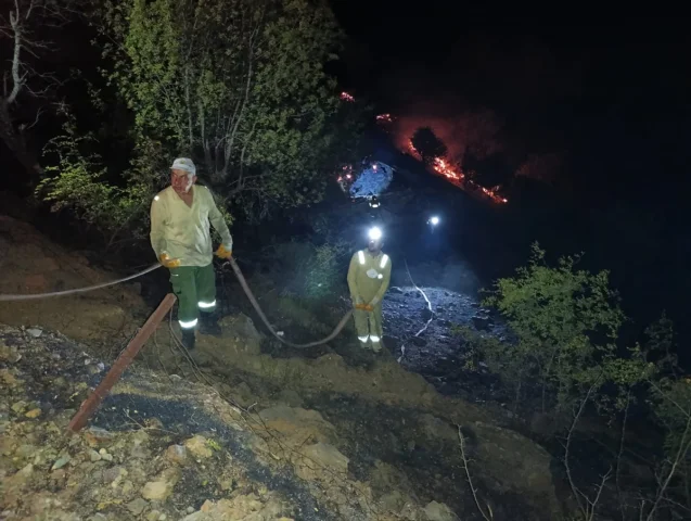Elazığ’ın Sivrice İlçesinde Çıkan Örtü Yangını Söndürüldü