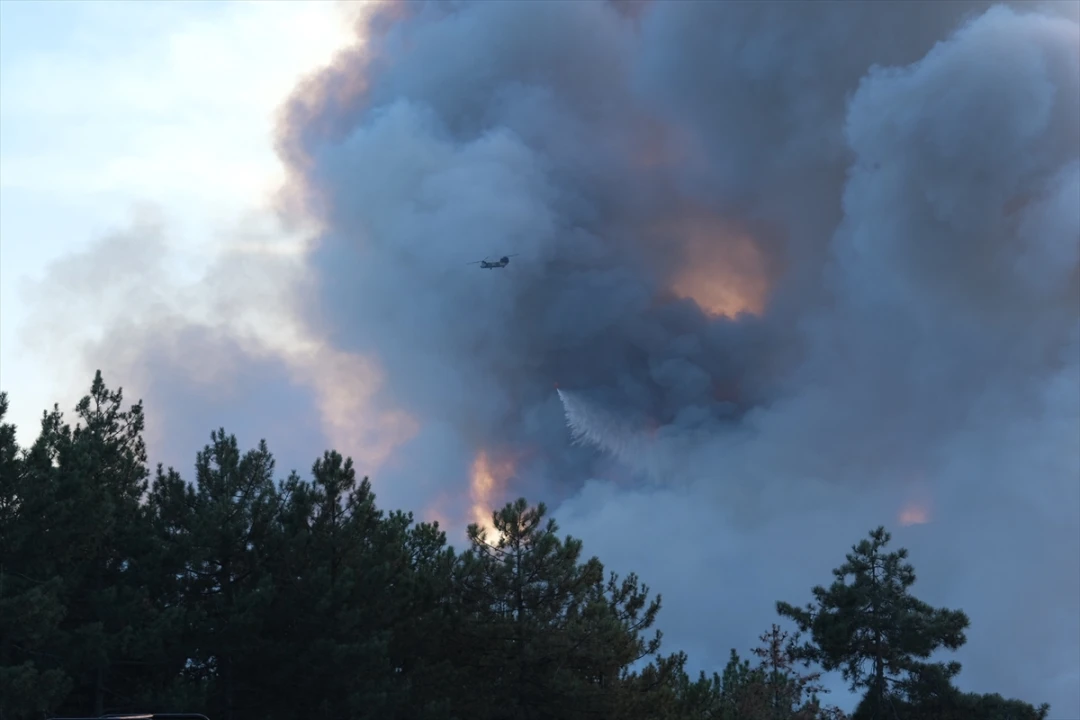 Orhaneli'deki Orman Yangınıyla Mücadele Kararlılıkla Sürüyor