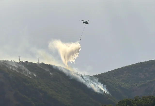Bingöl'deki Orman Yangınları Başarıyla Söndürüldü