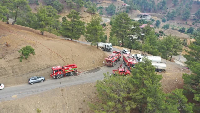 Kahramanmaraş'ta Orman Yangını: Müdahale ve Son Durum