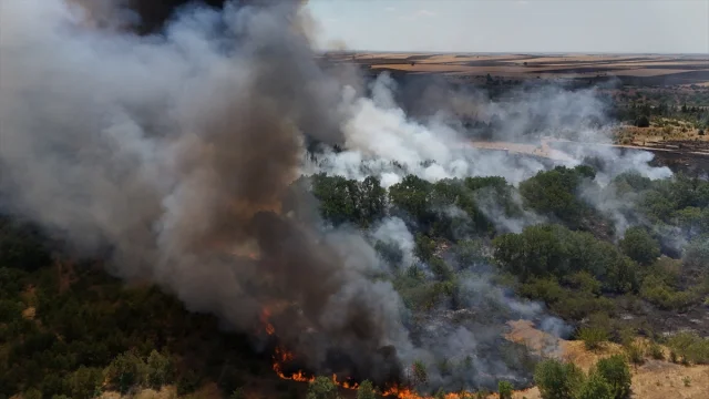 Kırklareli'nde Anız Yangını Büyümeden Kontrol Altına Alındı
