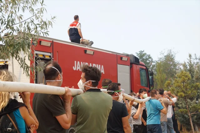 ÇOMÜ'den Çanakkale'deki Orman Yangınına Dair Açıklama