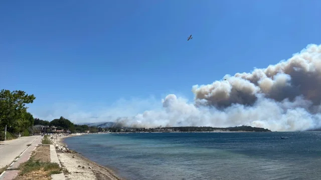 Çanakkale'de Orman Yangını: Hızlı Müdahale Devam Ediyor