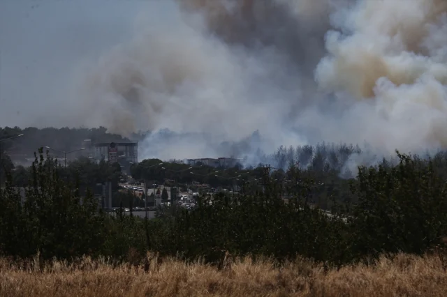 Çanakkale'de Orman Yangını Mücadelesi Devam Ediyor